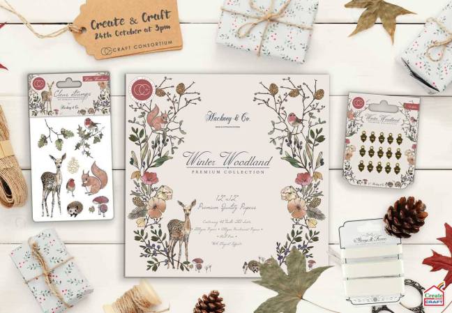 22289786_864795250345523_7360279811290451456_o