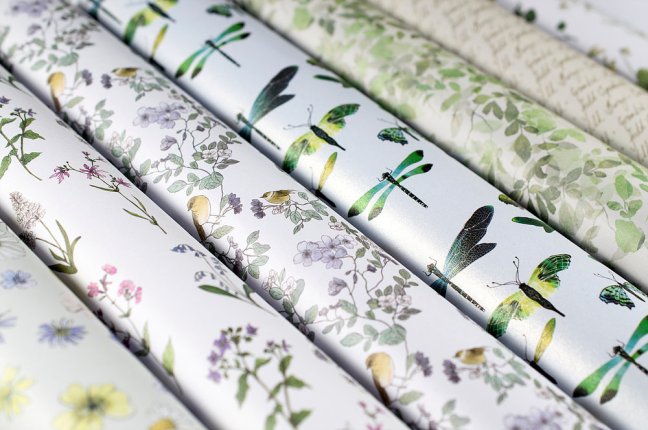 0672b5_0b0dc4580d1d46dbbdf621edaa65ef13~mv2_d_6016_4000_s_4_2