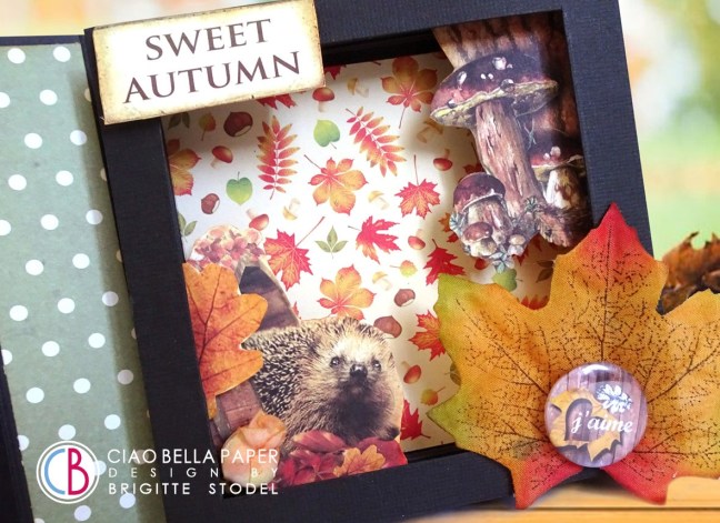 70720210_672292206514835_1238546483721011200_o