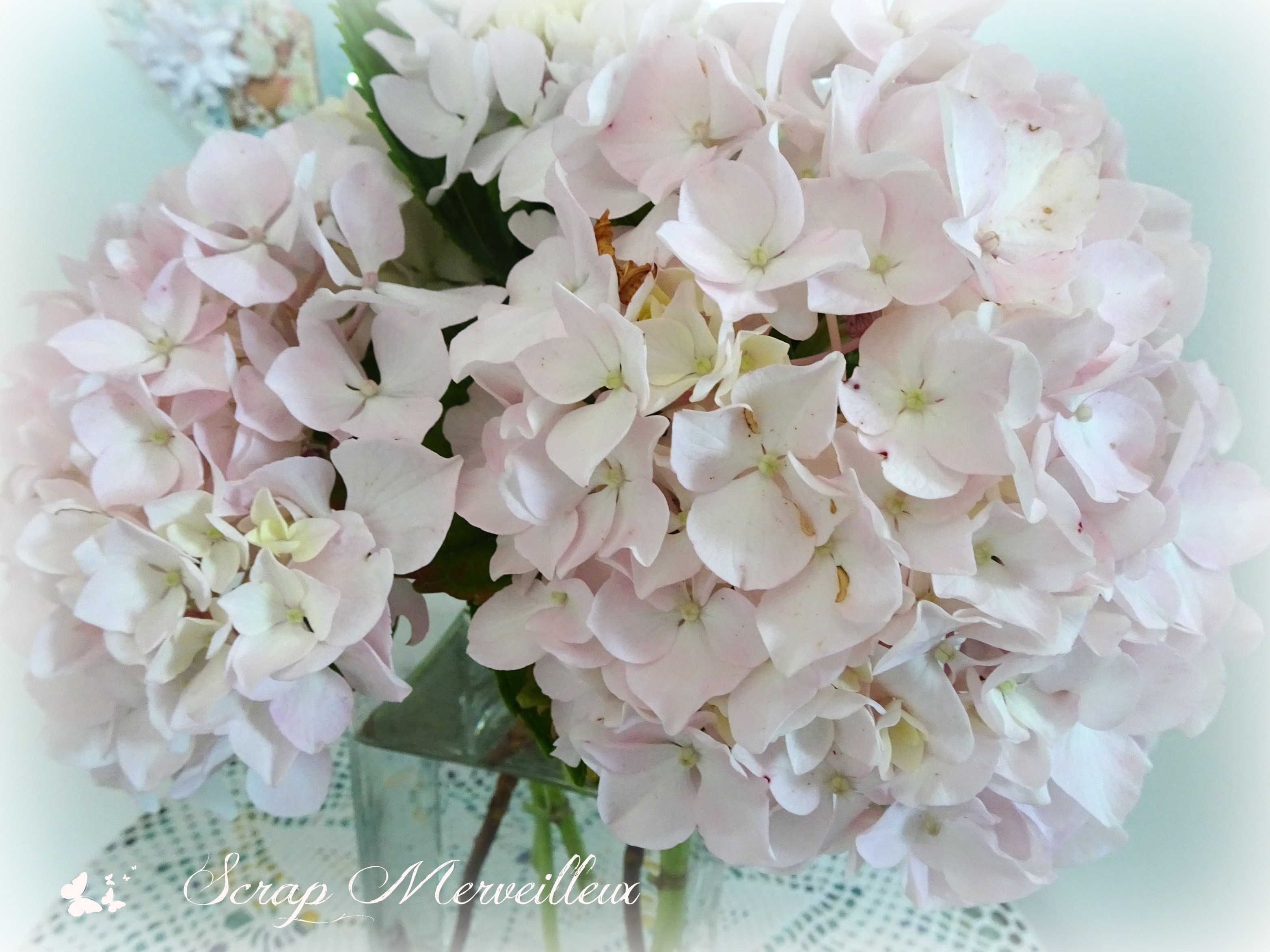 grande barrette hortensia vieux rose (teinture végétale)