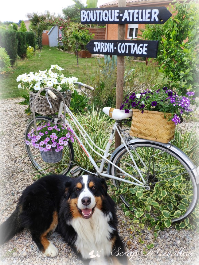 IMG_20200602_125637(1)