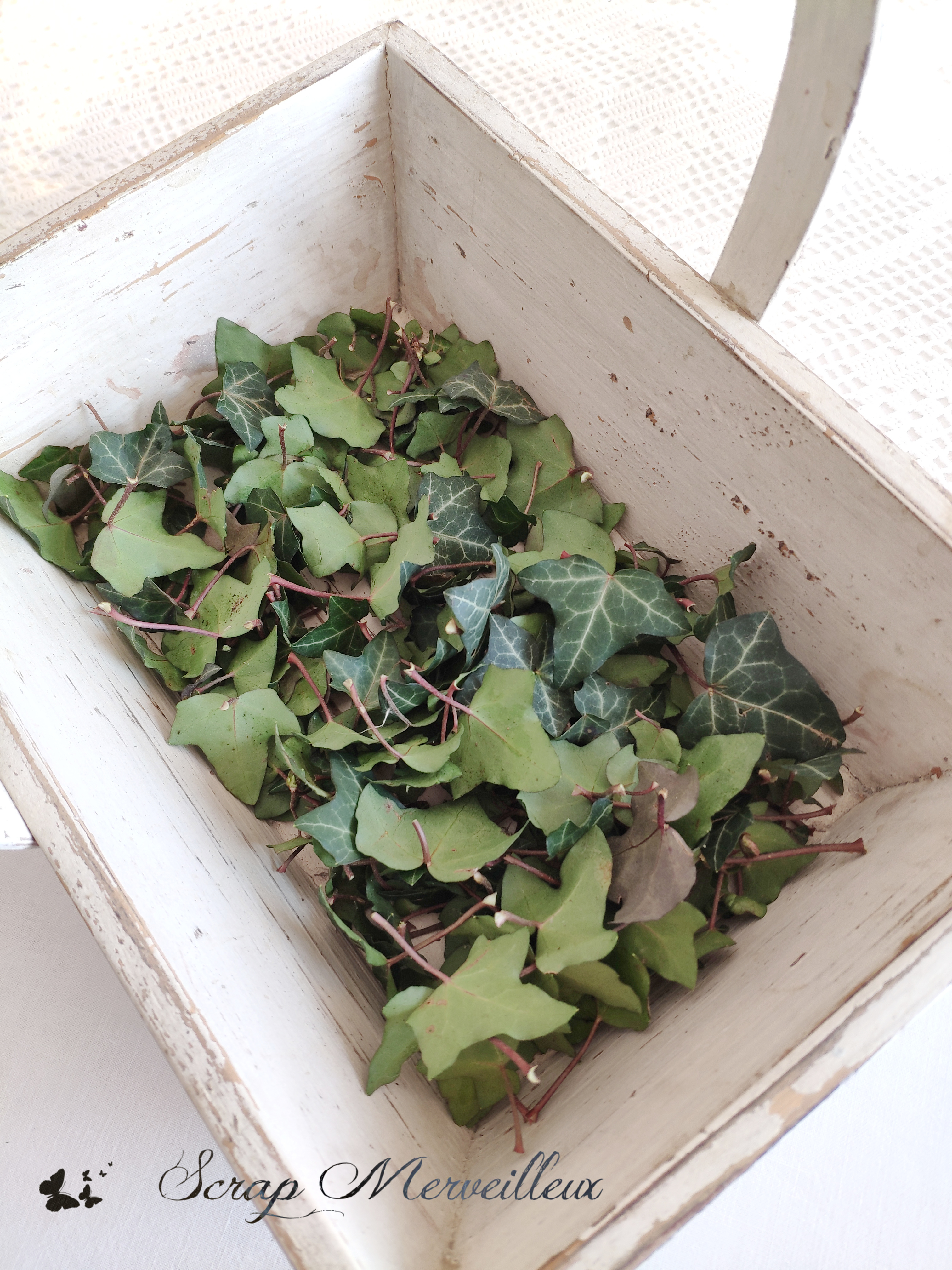 IMG_20210111_133523(2)