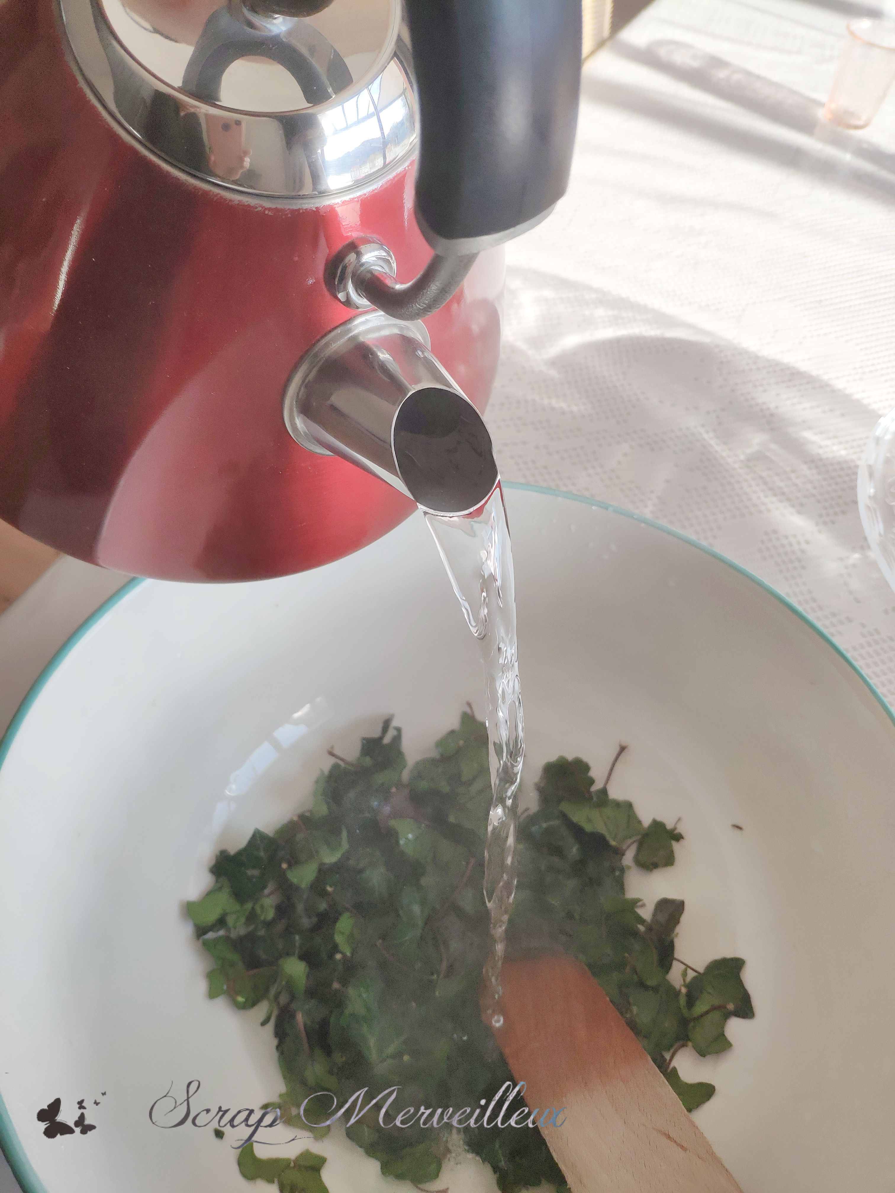 IMG_20210111_133523(3)